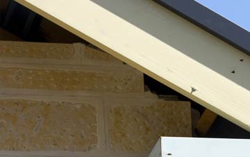 soffit repair Knowle
